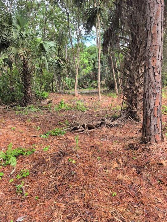 待售: $15,500 (0.34 acres)