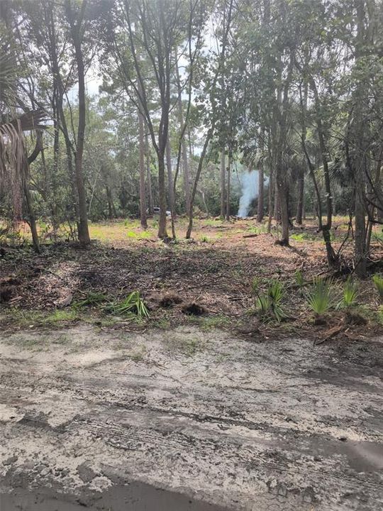 待售: $15,500 (0.34 acres)