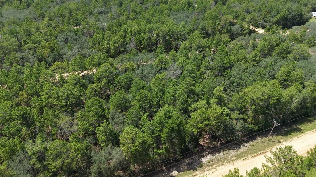 待售: $10,000 (0.22 acres)
