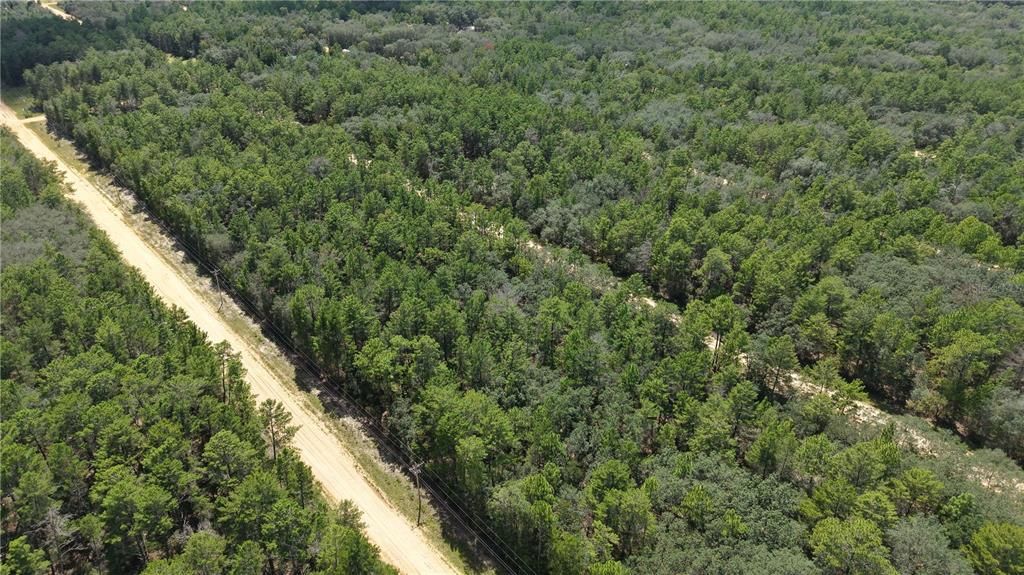 待售: $10,000 (0.22 acres)