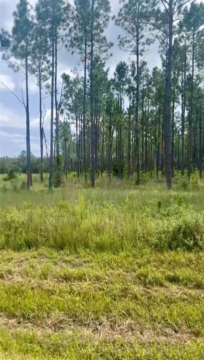 待售: $349,500 (23.78 acres)