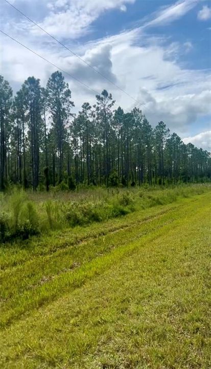 待售: $349,500 (23.78 acres)