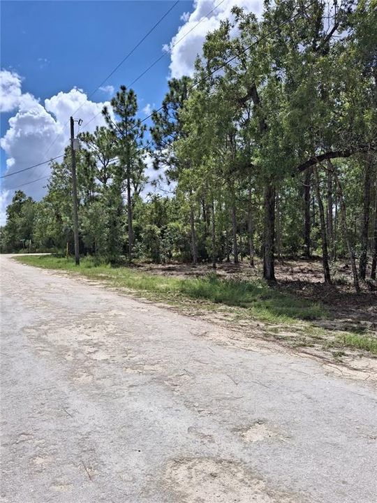 For Sale: $38,900 (0.46 acres)