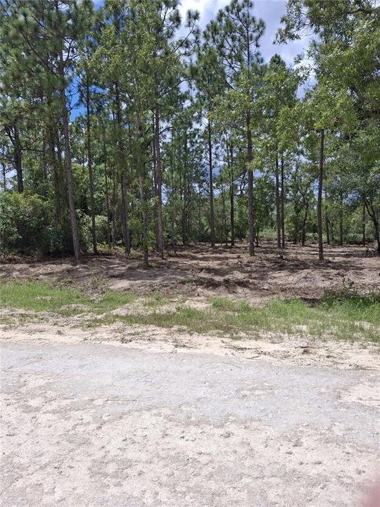 For Sale: $38,900 (0.46 acres)