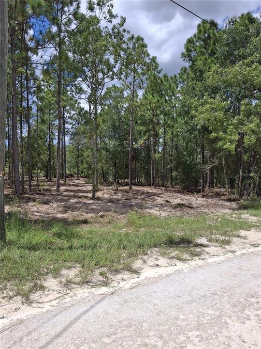 For Sale: $38,900 (0.46 acres)
