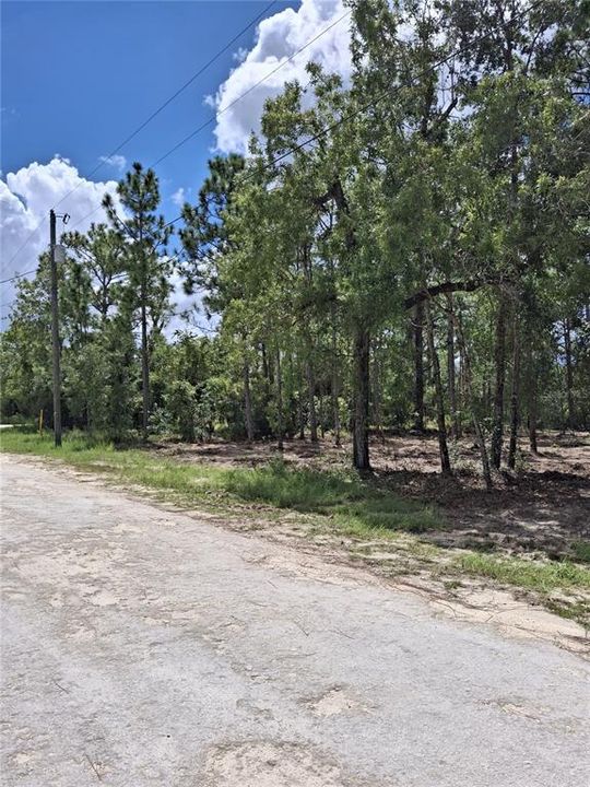 For Sale: $38,900 (0.46 acres)