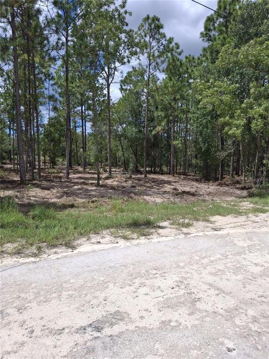 For Sale: $38,900 (0.46 acres)
