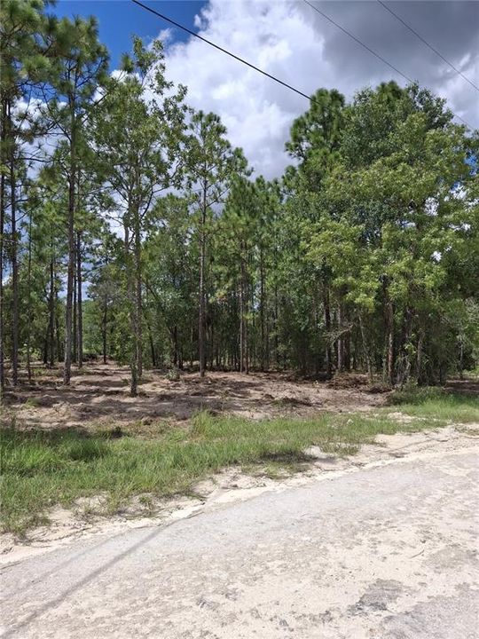 For Sale: $38,900 (0.46 acres)