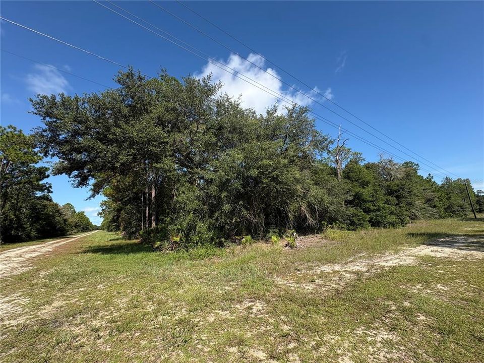 待售: $35,000 (1.10 acres)