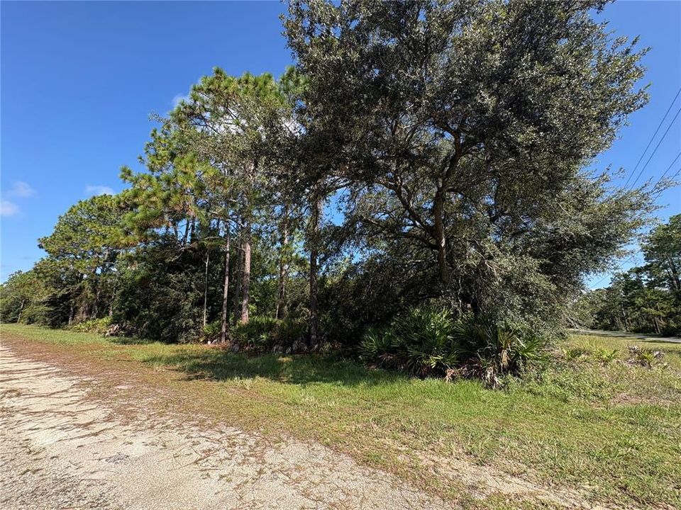 待售: $35,000 (1.10 acres)