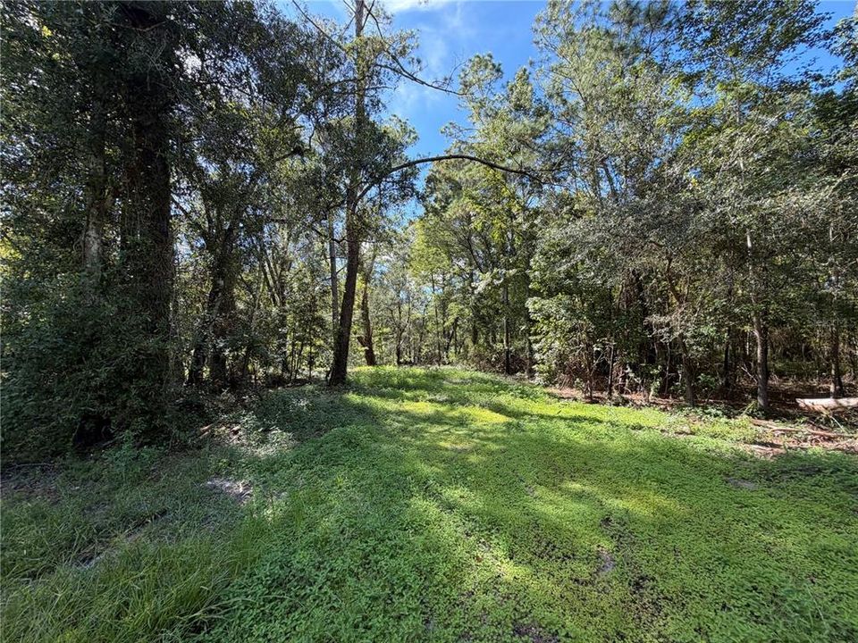 For Sale: $75,000 (0.44 acres)