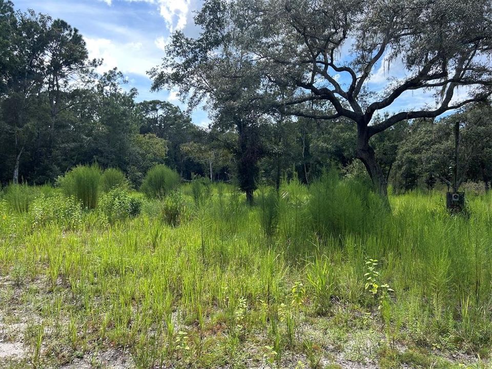 На продажу: $99,000 (1.32 acres)