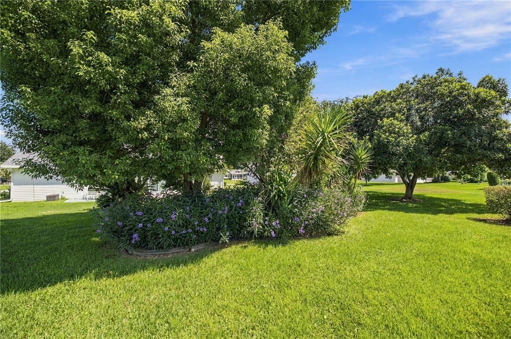 En Venta: $209,900 (2 camas, 2 baños, 990 Pies cuadrados)
