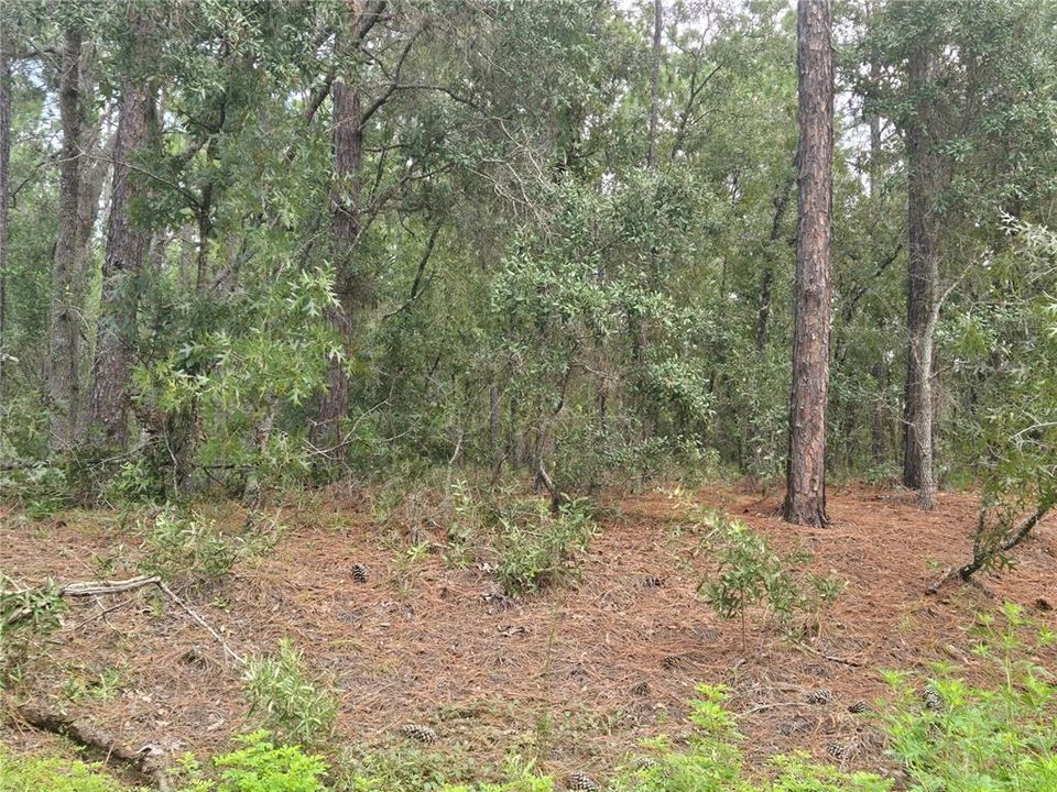 合同活跃: $77,900 (1.16 acres)