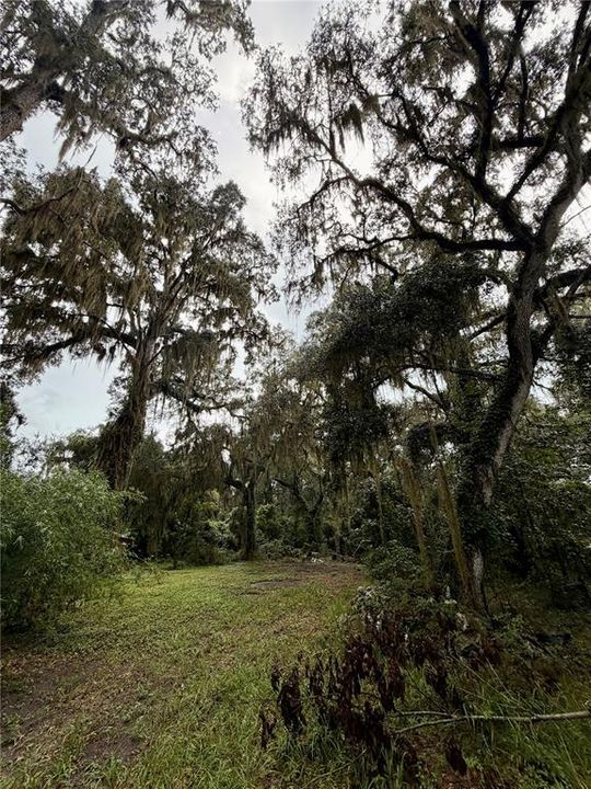 For Sale: $289,000 (5.11 acres)