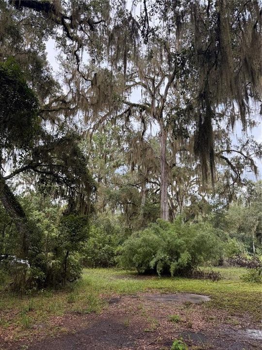 For Sale: $289,000 (5.11 acres)