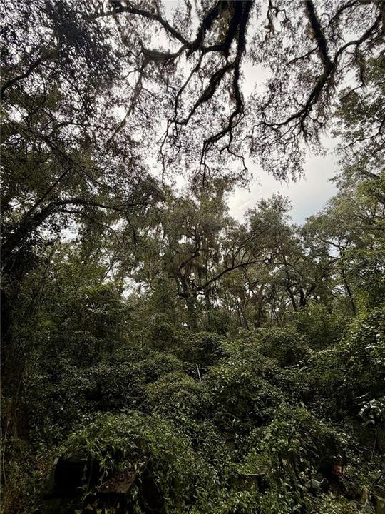 For Sale: $289,000 (5.11 acres)