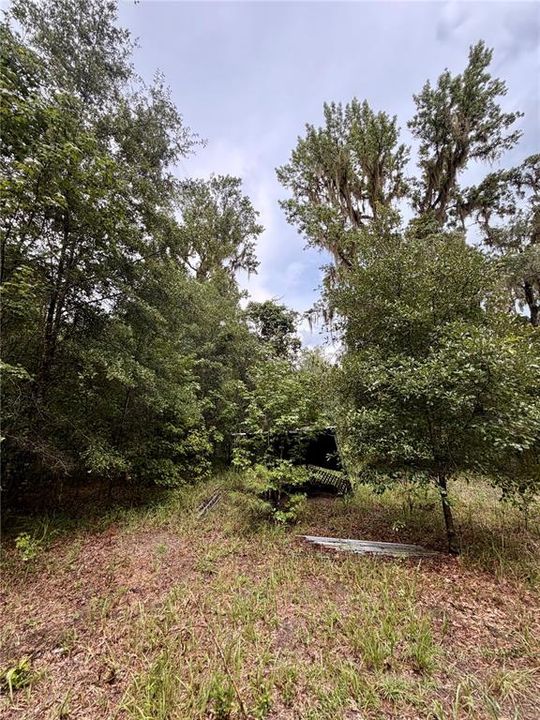 For Sale: $289,000 (5.11 acres)