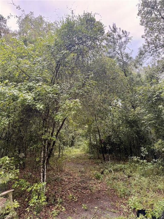For Sale: $289,000 (5.11 acres)