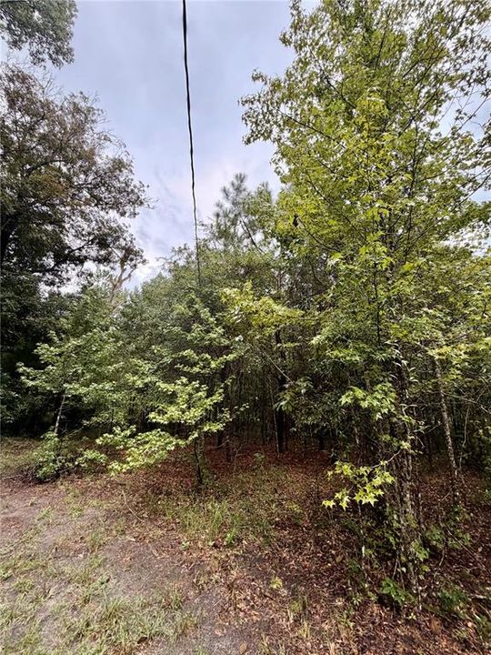 For Sale: $289,000 (5.11 acres)