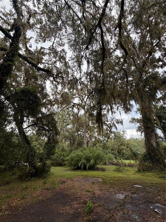 For Sale: $289,000 (5.11 acres)