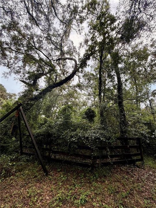 For Sale: $289,000 (5.11 acres)