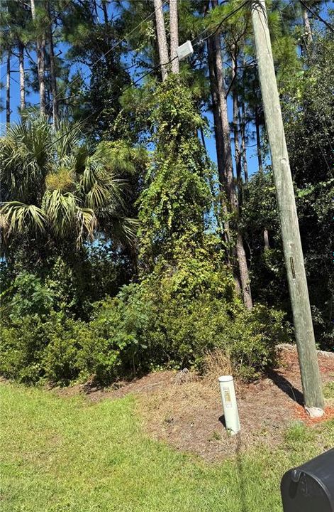 На продажу: $69,999 (0.24 acres)