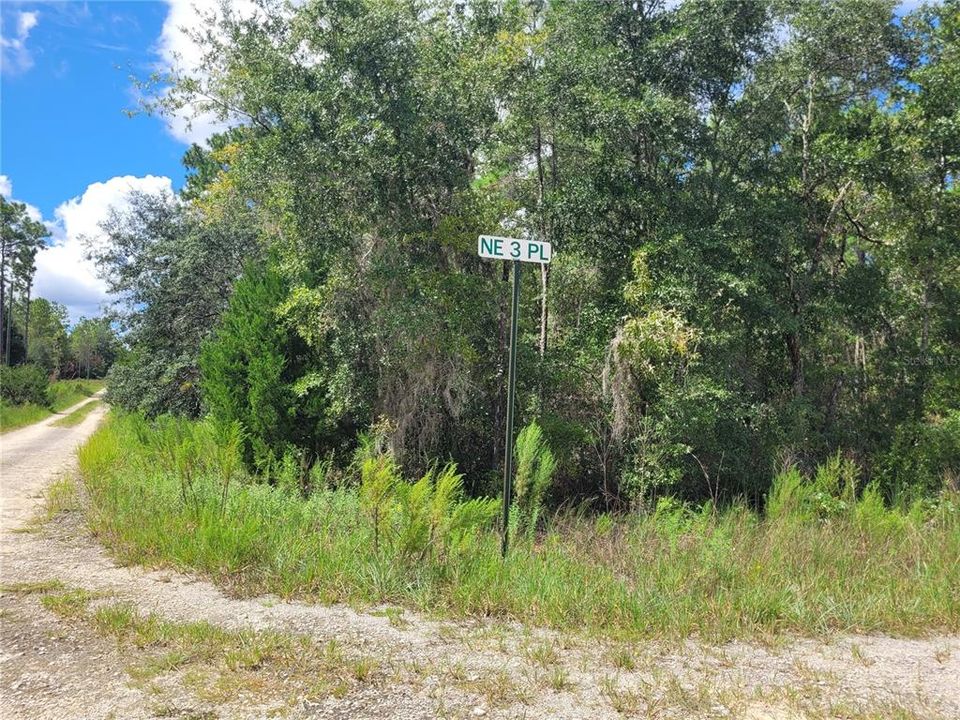 For Sale: $9,000 (0.23 acres)