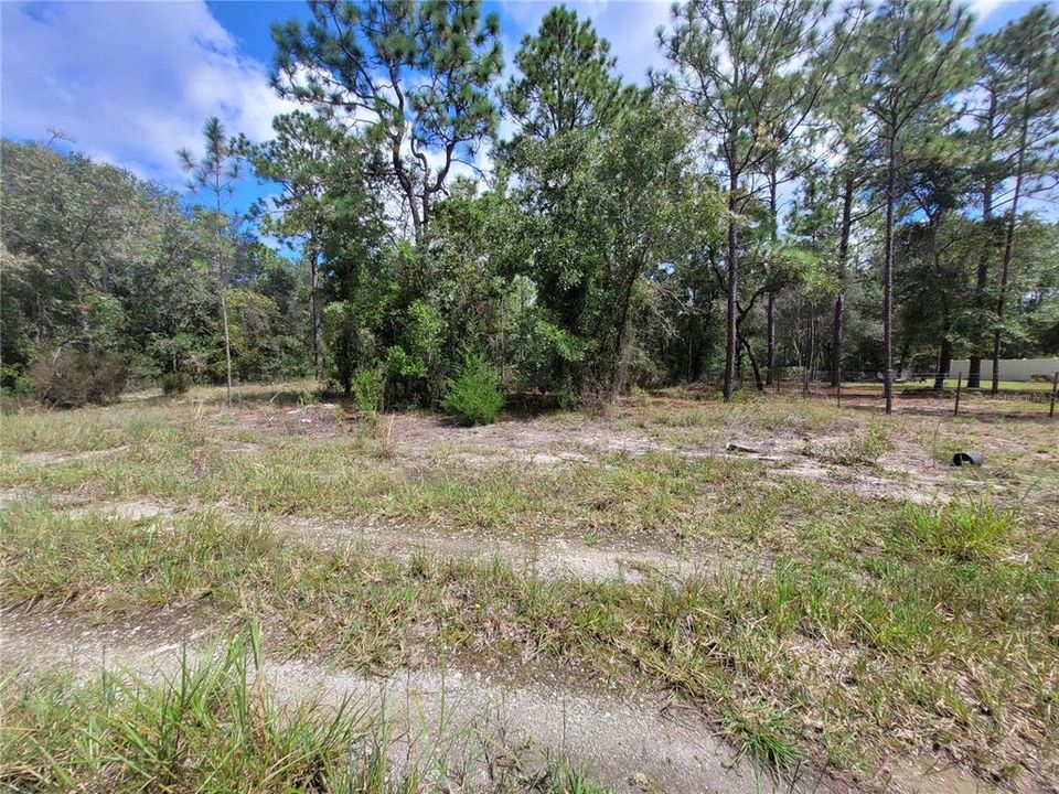 For Sale: $9,000 (0.23 acres)