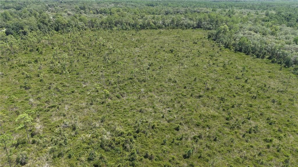 For Sale: $4,950 (0.52 acres)