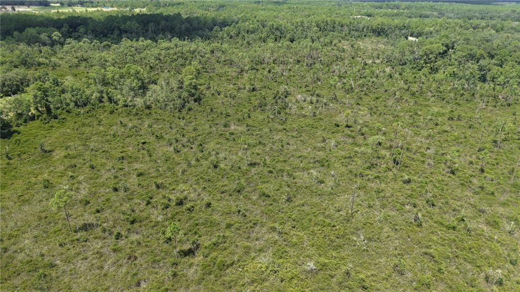For Sale: $4,950 (0.52 acres)