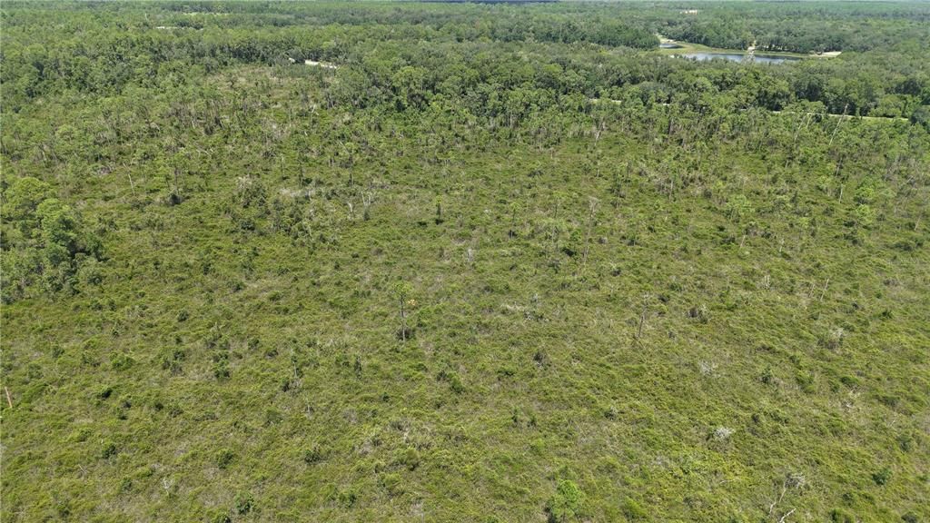 For Sale: $4,950 (0.52 acres)