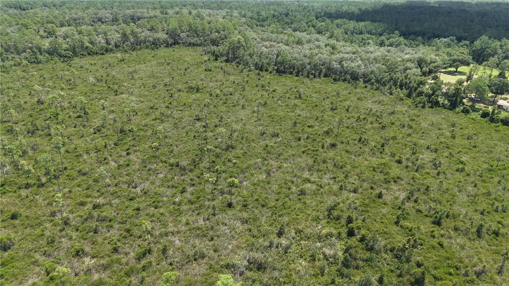 For Sale: $4,950 (0.52 acres)