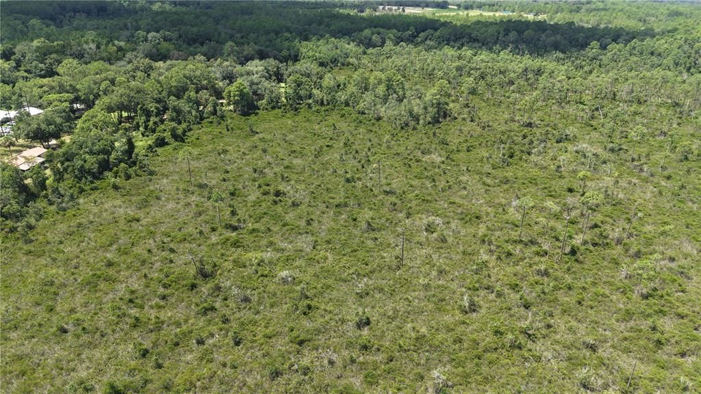 For Sale: $4,950 (0.52 acres)