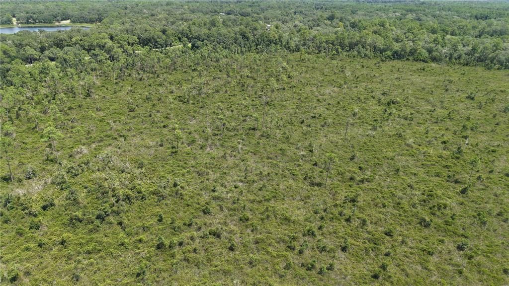 For Sale: $4,950 (0.52 acres)
