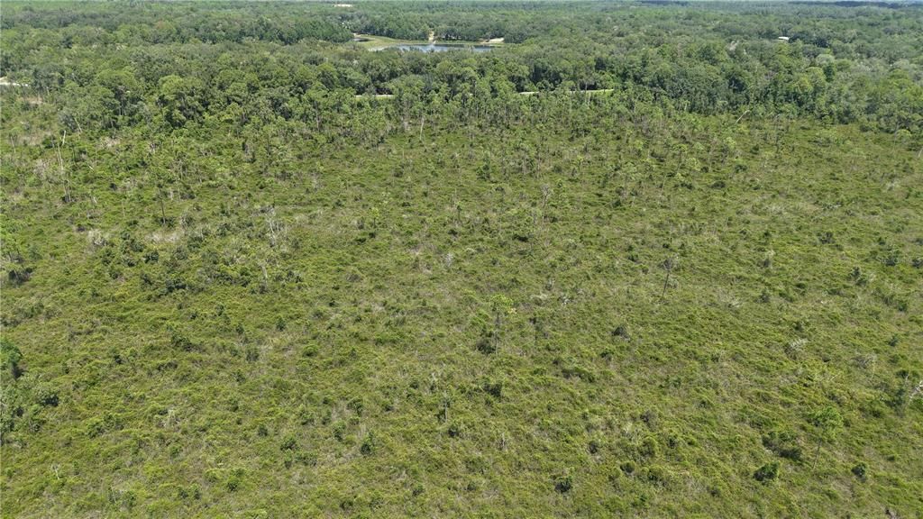 For Sale: $4,950 (0.52 acres)