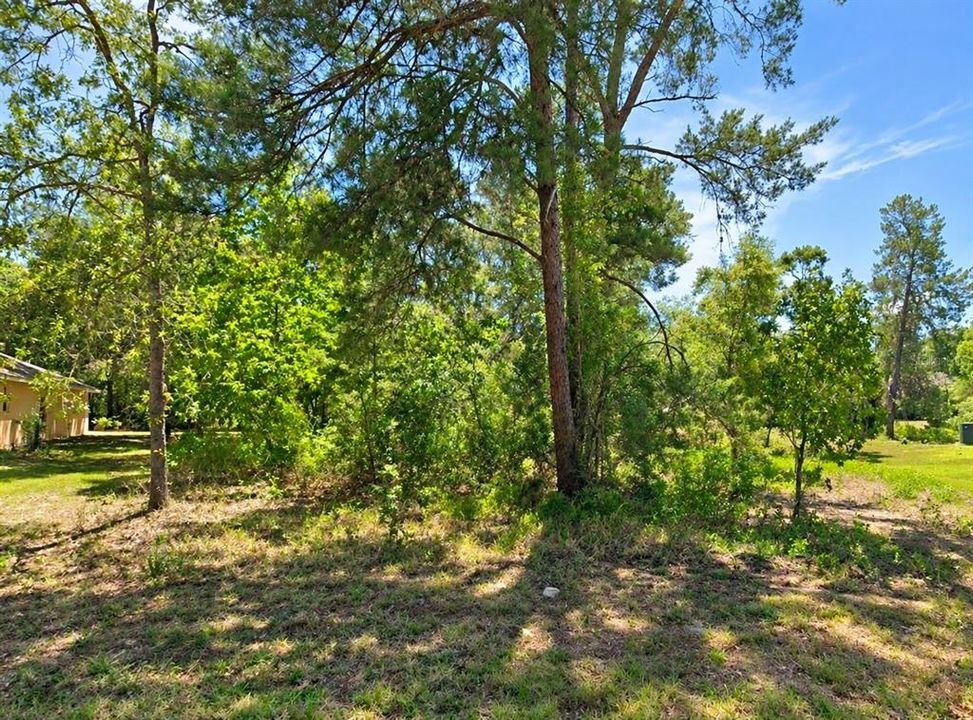 En Venta: $25,000 (0.28 acres)