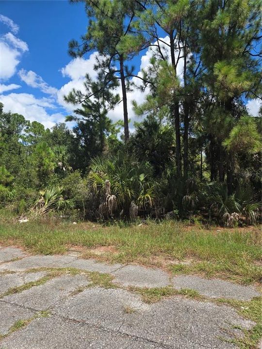 For Sale: $11,000 (0.23 acres)