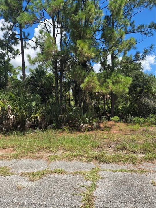 For Sale: $11,000 (0.23 acres)