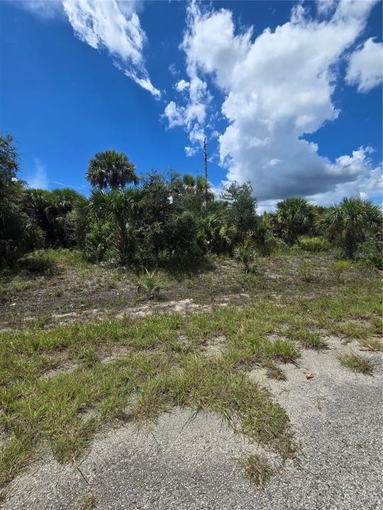 待售: $11,000 (0.23 acres)