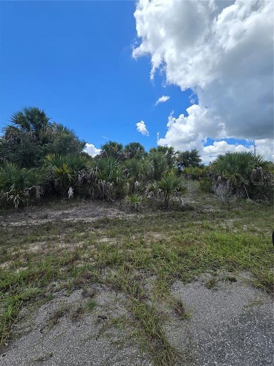 待售: $11,000 (0.24 acres)