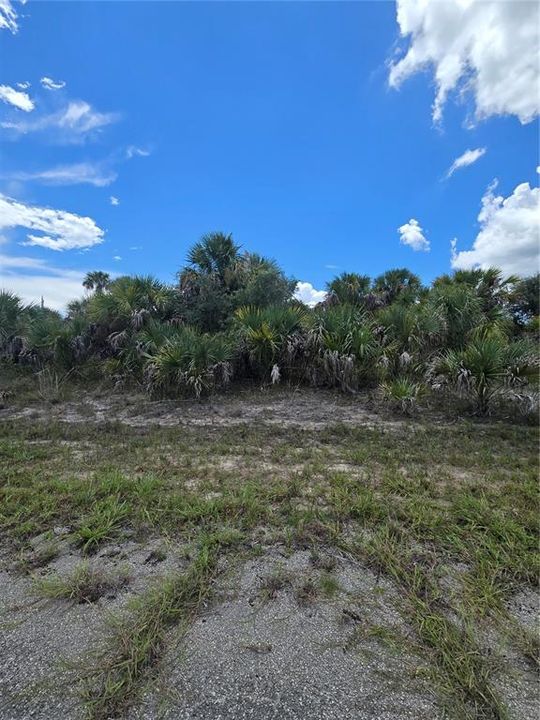 待售: $11,000 (0.24 acres)