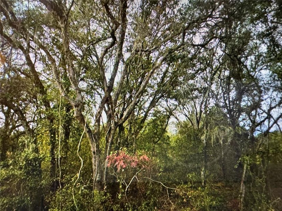 For Sale: $25,650 (0.27 acres)