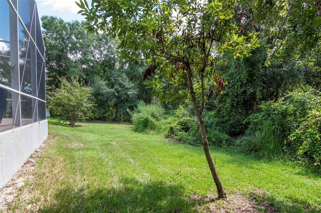 Active With Contract: $4,300 (4 beds, 3 baths, 2853 Square Feet)