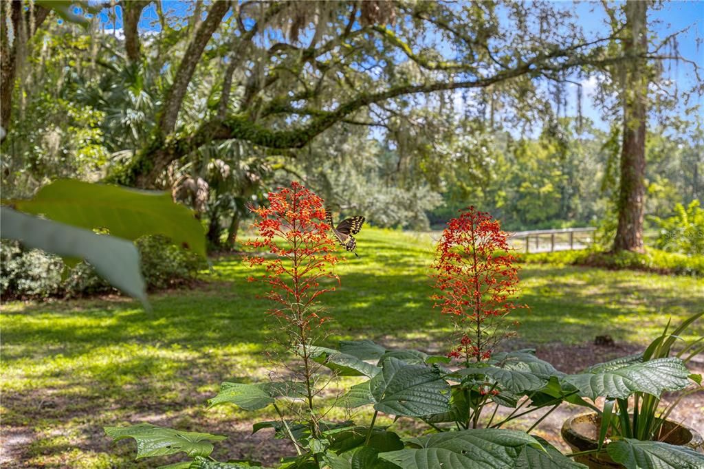 En Venta: $465,000 (2 camas, 2 baños, 2120 Pies cuadrados)