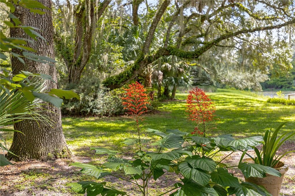En Venta: $465,000 (2 camas, 2 baños, 2120 Pies cuadrados)