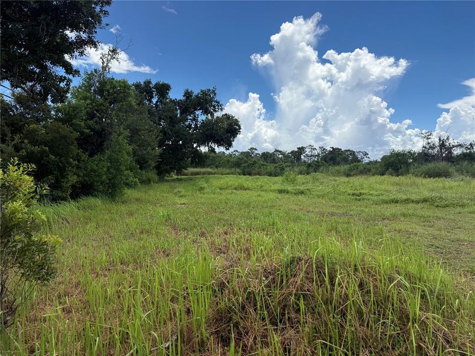 For Sale: $649,000 (1.18 acres)