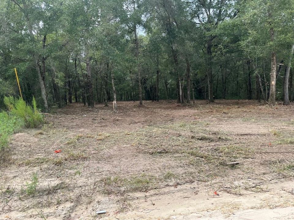 待售: $19,500 (0.31 acres)