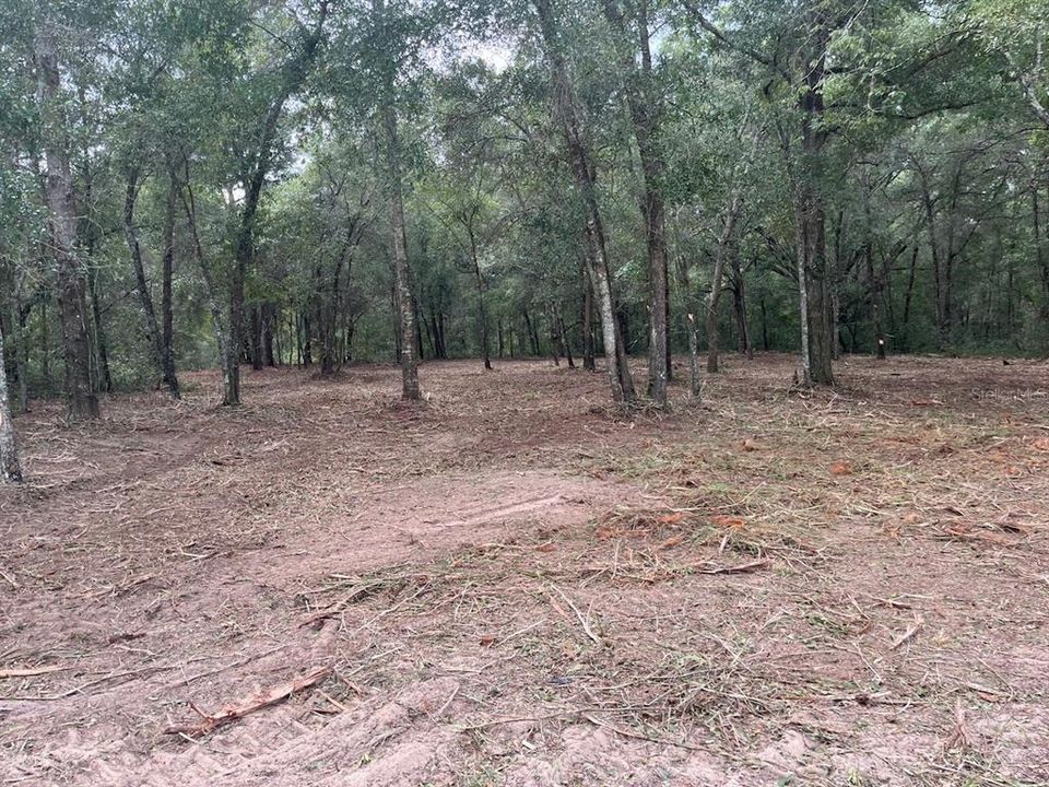 待售: $19,500 (0.31 acres)