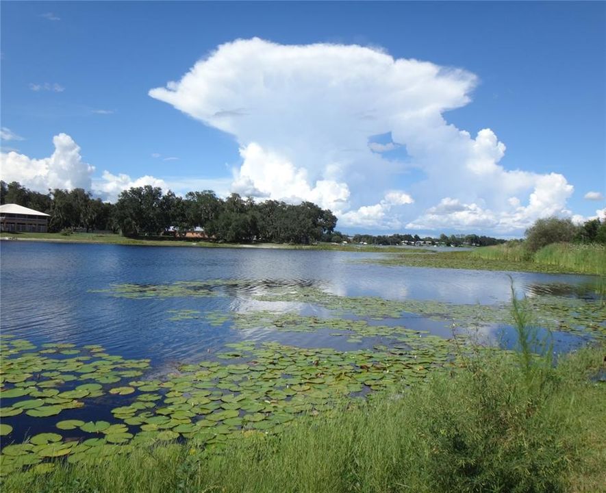 For Sale: $199,900 (1.03 acres)